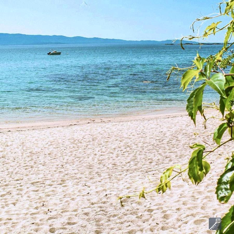 Evasion Corse - T2 Vue Mer, Piscine & Plage Ajaccio  Ngoại thất bức ảnh