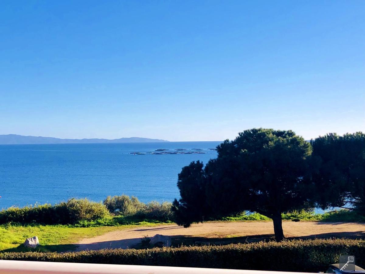 Evasion Corse - T2 Vue Mer, Piscine & Plage Ajaccio  Ngoại thất bức ảnh