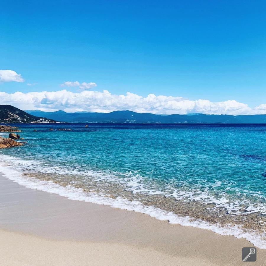 Evasion Corse - T2 Vue Mer, Piscine & Plage Ajaccio  Ngoại thất bức ảnh