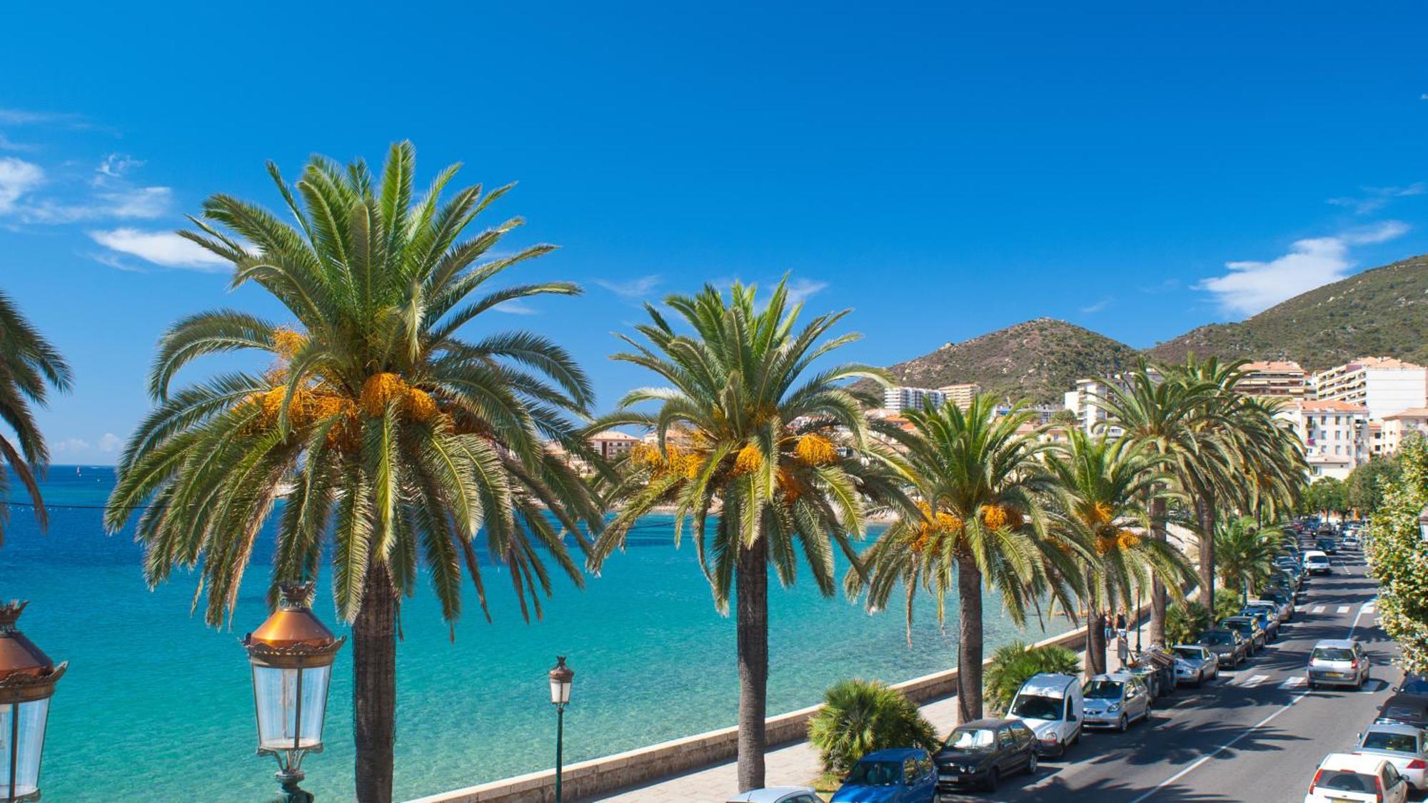 Evasion Corse - T2 Vue Mer, Piscine & Plage Ajaccio  Ngoại thất bức ảnh