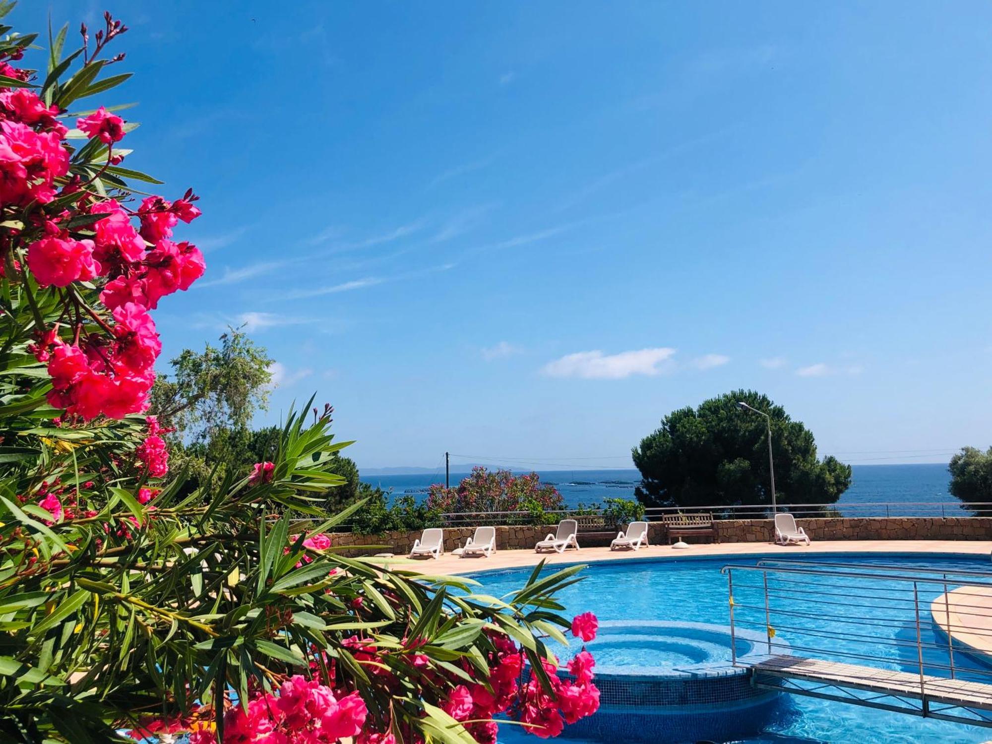 Evasion Corse - T2 Vue Mer, Piscine & Plage Ajaccio  Ngoại thất bức ảnh