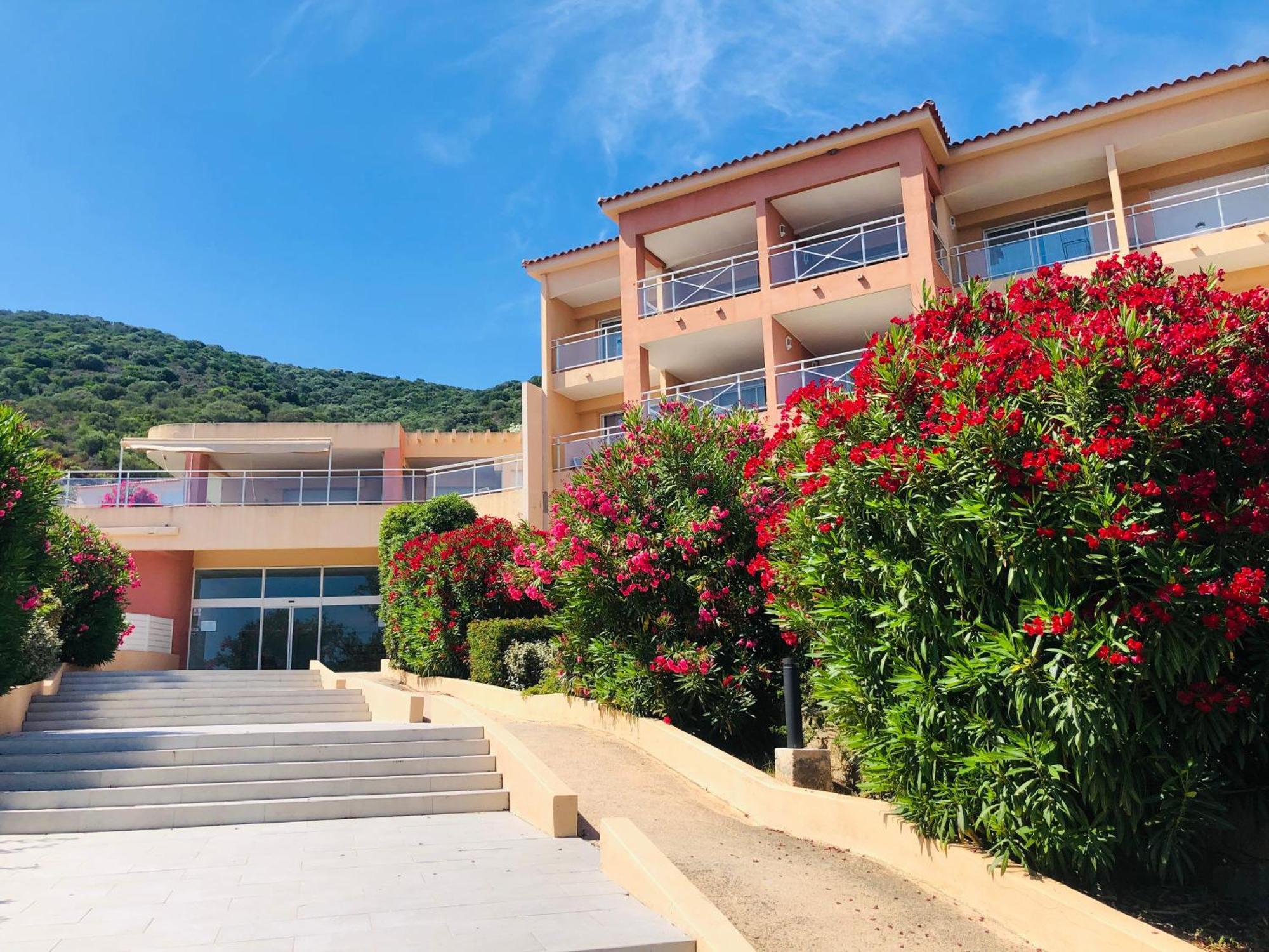 Evasion Corse - T2 Vue Mer, Piscine & Plage Ajaccio  Ngoại thất bức ảnh