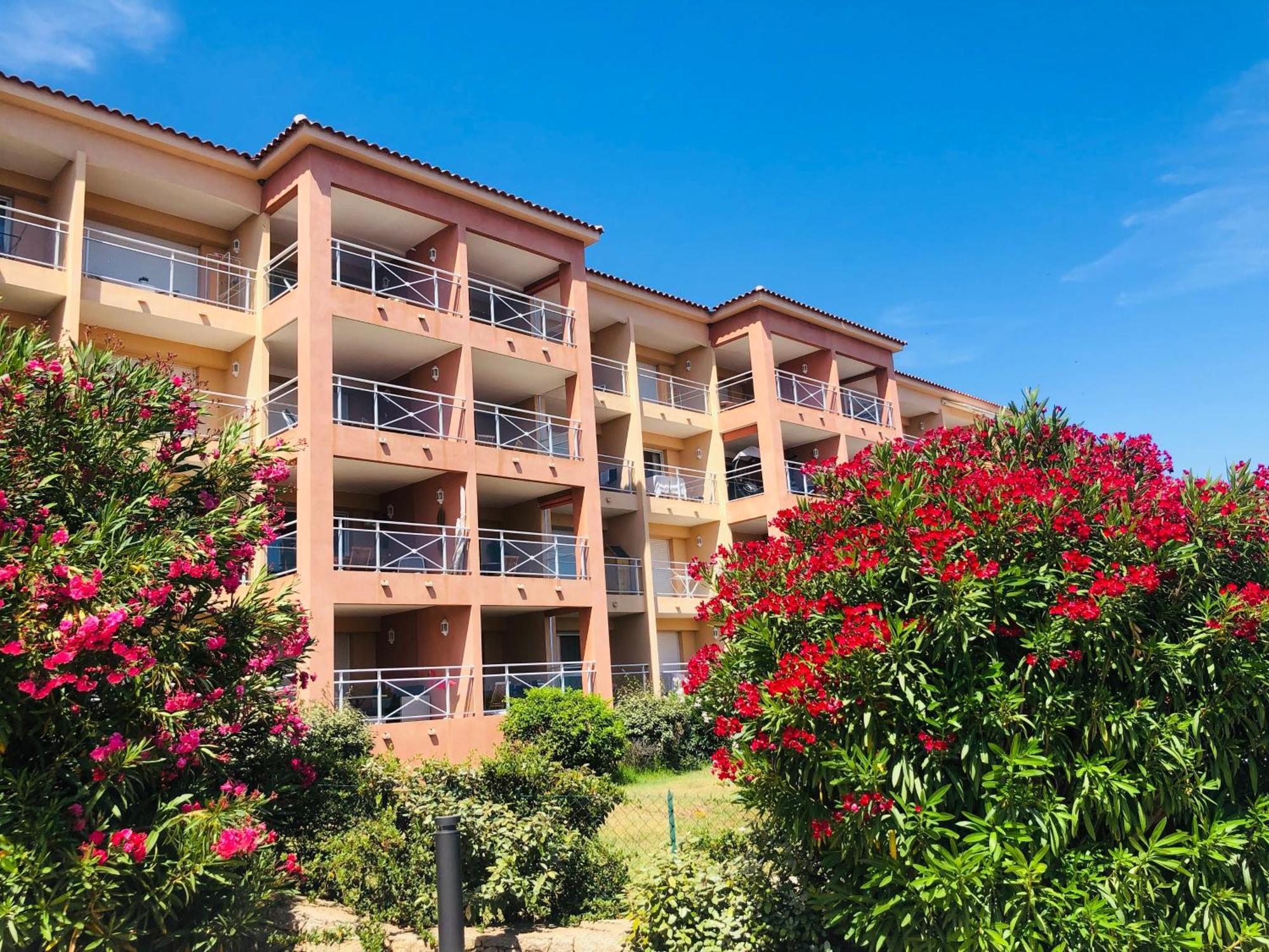 Evasion Corse - T2 Vue Mer, Piscine & Plage Ajaccio  Ngoại thất bức ảnh